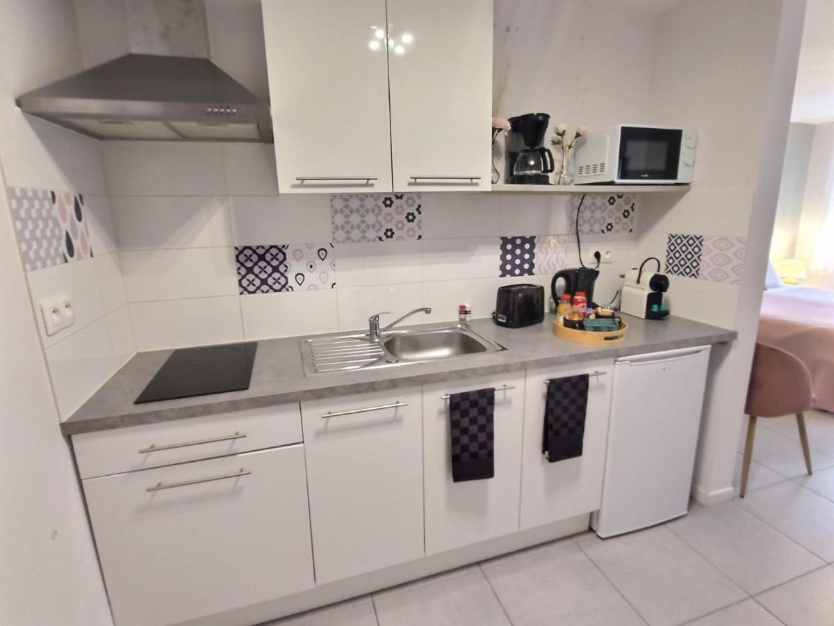 L'Amazonie - Roissy Cdg - Parc Asterix - Paris Apartment Moussy-le-Neuf Bagian luar foto
